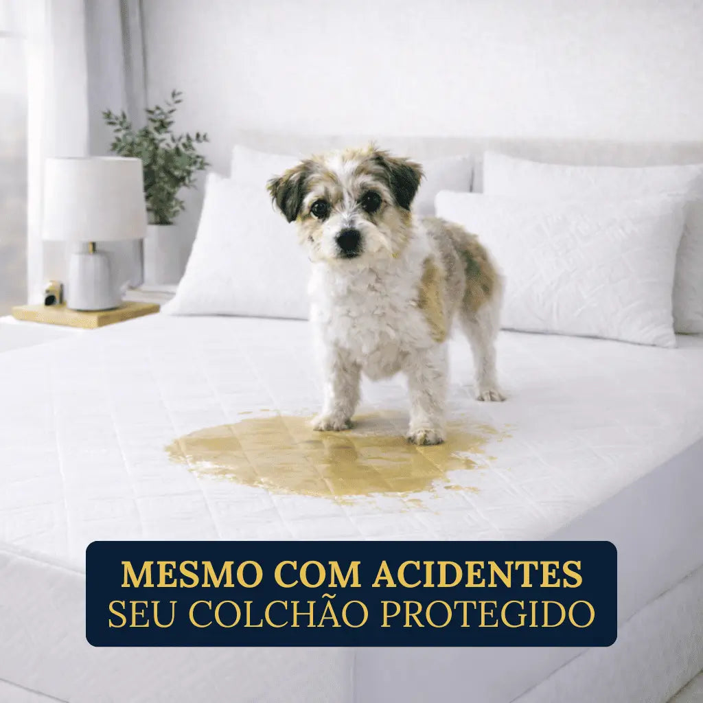 Kit Premium Amparo - Protetor de Colchão Impermeável + 2 Fronhas | Aromatizador Brinde